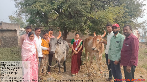 मुख्यमंत्री समृद्ध पंचायत राज अभियान अंतर्गत  जनावराचे लसीकरण